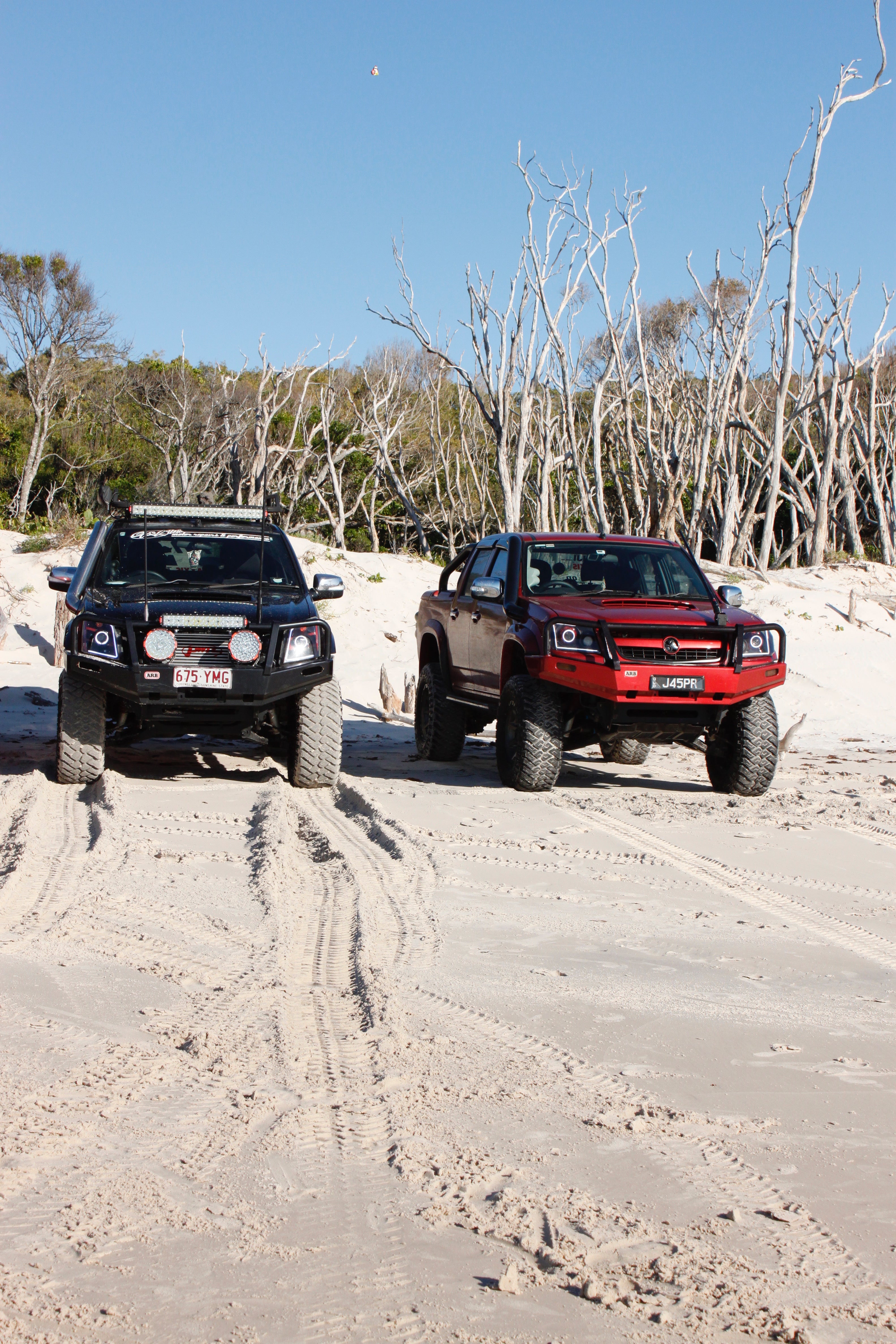 A black and red Holden Colorado R are parked on a sandy expanse with gum trees lining the sand bank behind the 4x4 vehicles.